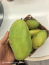 玖原农珍 海南大青皮金煌甜心芒果净重4.5-5斤优选果200-350g当季新鲜水果 实拍图