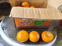 尔蝶广西沃柑新鲜橘子当季时令水果桔子整箱砂糖蜜橘柑橘应季水果礼盒 精选5斤装 净重4.5斤 大果60-70mm 实拍图