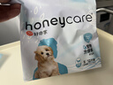 HONEYCARE好命家 狗狗纸尿裤公狗尿不湿生理裤S12片12包装 实拍图