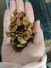 三只松鼠四色葡萄干免洗新疆特产休闲零食果干蜜饯健康食品小吃办公室追剧 【推荐】四色葡萄干500g 实拍图