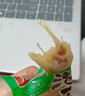 有友 泡椒凤爪 山椒味28g*10支 单个装休闲追剧办公室小吃零食经典 实拍图