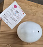 妙普乐煮蛋器小型一人用日本进口品质微波炉多功能蒸蛋器创意鸡蛋型用办 【1个蛋】微波炉蒸蛋器 实拍图