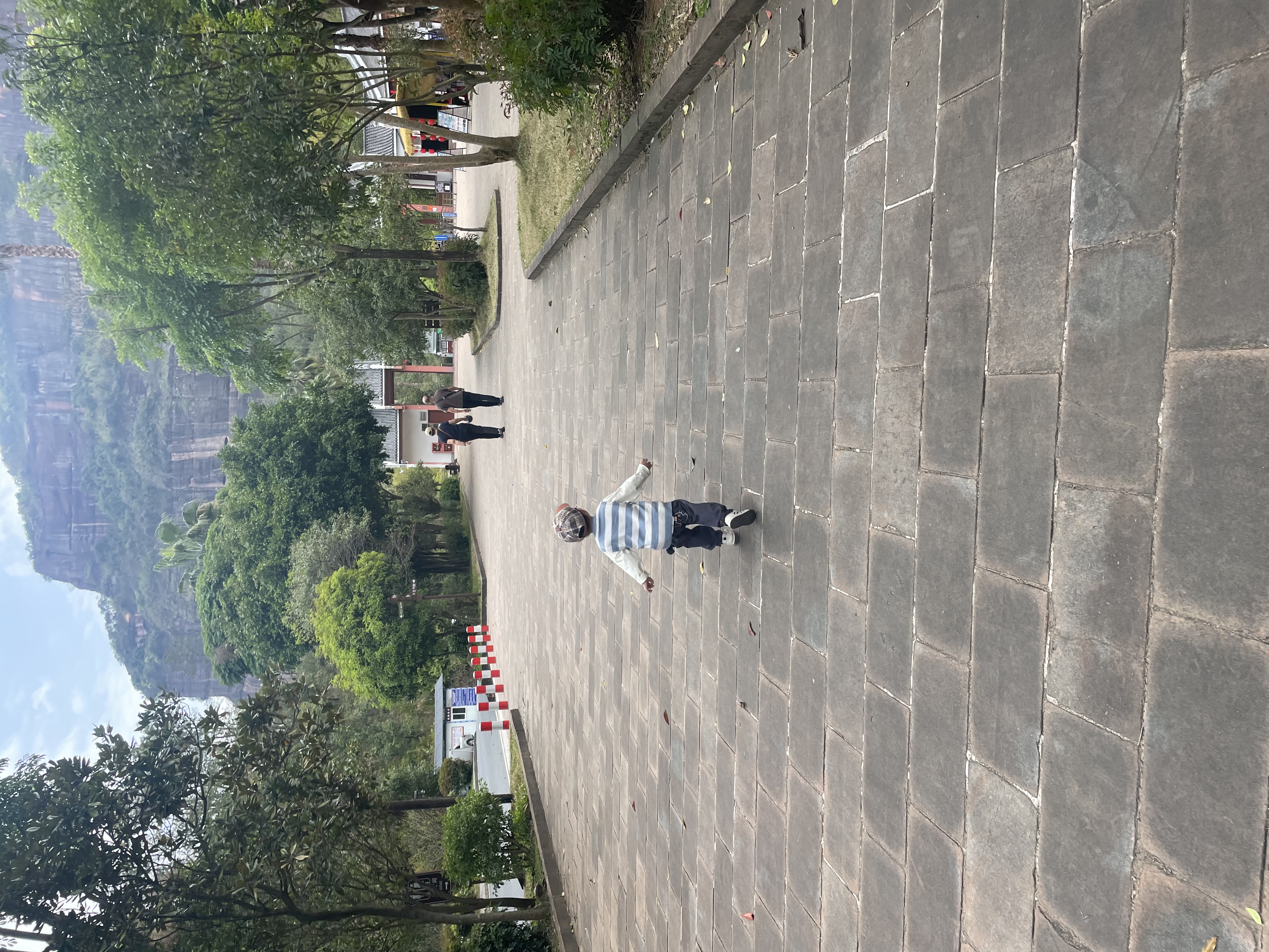 嘟嘟家[7A抑菌]儿童衣服秋装男童T恤长袖秋女童衣服宝宝童装潮 条纹90 实拍图
