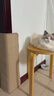 华元宠具（hoopet）猫抓垫子猫抓板窝防猫抓沙发保护贴墙猫咪爪板耐磨不掉屑剑麻用品 实拍图