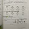 阳光同学 2026春新 课时优化作业 英语 五年级下册 人教PEP版 小学生同步教材练习册 随堂一课一练课课练单元提优训练 开学季 实拍图