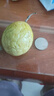 京喜加广西钦蜜9号黄金百香果青果发货当季新鲜大果黄皮果奶茶店水果 【中果3斤 】约17-25个 实拍图