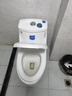 起点如日（QIDIANRURI）【德国】马桶盖通用加厚坐便器盖子家用UV型座厕盖板老式圈器配件 【V型快装】双层加厚抗断 实拍图