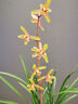 四万公里衣架家用衣挂防滑无痕晾衣架子衣服架大衣衣撑子带钩干湿两用20支 实拍图