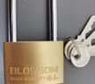梅花（BLOSSOM）铜挂锁 长梁锁室内门宿舍门锁防水防锈锁头学生抽屉柜门锁BC074L 实拍图