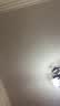 逆龄（REVERSE）檀木T29大号铺色眼影刷晕染自然动物毛亲肤无痕便携化妆刷 实拍图