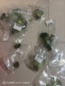 疯狂水草乌龟缸造景龟缸植物浮萍水草水培绿植景观水植物造景源头直发包邮 实拍图