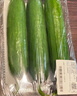 【水果菜】荷兰水果黄瓜约400g 实拍图