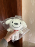 JOY&DOGA（基础款）毛绒玩具吉祥物公仔小狗毛绒玩偶摆件纪念品JOY站姿 实拍图