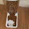 憨憨宠宠物自动喂食器猫咪饮水机升级不锈钢碗猫狗碗狗猫盆喝水吃饭一体 喂食喂水器套装 外出7-14天无忧丨加厚pet材质 实拍图