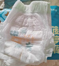 巴布豆（BOBDOG）菠萝裤拉拉裤XL72片（11.5-14kg）尿不湿 超薄透气 干爽 实拍图