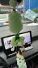 明昉汽车挂件高档车内饰品平安貔貅后视镜挂饰葫芦吊坠男女士车内挂件 一帆风顺【带红木档位珠】 实拍图