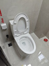 九牧（JOMOO）11396-2-1/41KB-1抗菌一级水效坐便器虹吸式节水连体马桶400坑距 实拍图
