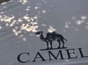 骆驼（CAMEL）天幕户外大号黑胶露营帐篷野营野餐遮阳棚防雨防晒全套装备 实拍图