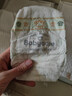 babycare金山茶花纸尿裤S58片(4-8kg)新生儿婴儿尿不湿超薄透气轻柔花苞裤 实拍图