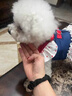 阿莫尔猫咪胸背牵引裙新款春夏季薄款牛仔裙布偶金渐层可爱透气宠物衣服 白色牛仔爱心裙+牵引绳 XS 建议1-3斤 具体参考尺码表 实拍图