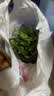 花行榜长寿花盆栽大花重瓣植物室内花卉米橙(带花苞)含加仑盆源头直发 实拍图