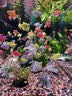 森森鱼缸变频加热棒适用300-400L水族箱加热器离水断电ARK-800J款800W 实拍图