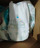 帮宝适超薄透气清新帮拉拉裤新生儿婴儿尿不湿尿片透氧Pro XXXL26 实拍图