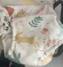 贝瑞加（Babyprints）【不含甲酰胺】训练裤男女宝宝尿布婴儿裤纯棉防水可洗戒尿不湿 实拍图