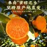 京觅浙江台州涌泉蜜桔 4.5-5斤单果55mm+ 青皮蜜桔 水果礼盒 源头直发 实拍图