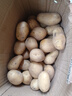 京喜加新鲜黄心土豆农家自种黄皮马铃薯黄心洋芋减脂早餐新鲜蔬菜 黄心土豆 9斤 净重 50g起/单果 实拍图