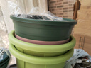 九千谷加仑花盆新高款1.8加仑树脂种菜盆居家绿植花盆22*22cm3个装8519 实拍图