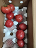 京鲜生陕西泾阳普罗旺斯西红柿净重3斤 单果80g起沙瓢口感番茄源头直发 实拍图