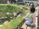 巴拉巴拉童装儿童泡芙羽绒服男女童宝宝2025新款冬装亲子装衣服立领外套萌 实拍图