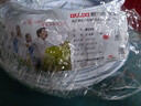 德力西(DELIXI)电线电缆 BVVB4平方 两芯护套线 家装家用铜芯电线 50米 实拍图