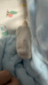 尼多熊儿童袜子夏季A类婴儿长筒袜宝宝新生儿过膝袜透气大网眼防蚊袜 实拍图