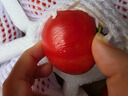 京鲜生山努农场 玫瑰番茄 自然熟新鲜蔬菜 2斤中果 单果50g+ 源头直发 实拍图