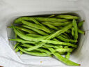 农家四季豆新鲜现摘云南长扁豆角农家应当季蔬菜芸豆现摘菜豆 新鲜四季豆300g 实拍图