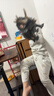 巴美卡大号智能声动恐龙模型玩具仿真世界侏罗纪动物男孩生日礼物三角龙 实拍图