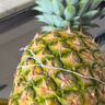 佳农 黑钻菠萝1粒装 菲律宾凤梨 净重2斤起 生鲜水果 源头直发 包邮 实拍图