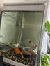 森森（SUNSUN）鱼缸水族箱客厅家用生态桌面金鱼缸免换水懒人鱼缸一体缸自循环 HE-600内置棉和滤材（物流发货） 实拍图