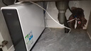 海尔（Haier）净水器鲜活水pro+瞬时1400G6年反渗透RO膜抑菌滤芯触控龙头双出水厨房专用台下母婴直饮净水机R883 实拍图