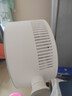 艾美特（AIRMATE）【小暴风PRO】空气循环扇家用大风力摇头电风扇卧室安静轻音小风扇桌面台式节能落地扇电扇 X231 实拍图