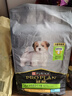 冠能狗粮小型犬幼犬狗粮7kg 全价狗粮 含牛初乳提高免疫 实拍图