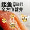 伊纳宝鲣鱼条 猫零食小鱼干妙好成幼猫肉条肉干茶多酚烤鲣鱼奖励 沙丁鱼味*15g 12支 实拍图
