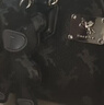 纽芝兰（NUCELLE）飞马波士顿包包2026新款轻奢小众手提斜挎女士包包生日礼物送女生 实拍图
