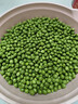 中鲜生 云南新鲜豌豆 甜豌豆新鲜蔬菜现摘豆角 净重3斤装【尝鲜装】鲜嫩饱满 实拍图