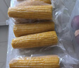 十月稻田 黄糯玉米 3.52斤(220g*8根) 东北粘苞米 早餐杂粮 马年限定 实拍图