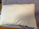 水星家纺枕头枕芯酒店枕头护颈枕头芯家用单个纯棉抗菌可水洗中枕48x74cm 实拍图