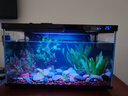 米家小米米家智能生态鱼缸还原自然生态补仓一次三月无忧出差旅行必备 实拍图