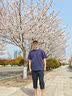 安踏男裤速干七分裤男2026夏季新款冰丝透气休闲运动中裤男士跑步裤子 【推荐款夏季速干透气-口袋拉链款】黑色 S /165cm（适合100-120斤） 实拍图